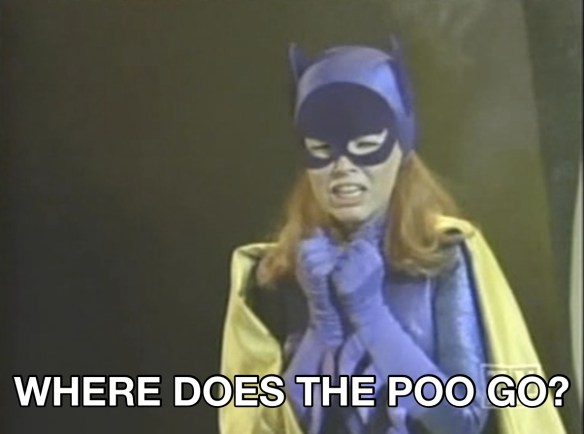 A picture of Batgirl crying with the caption: where does the poo go?