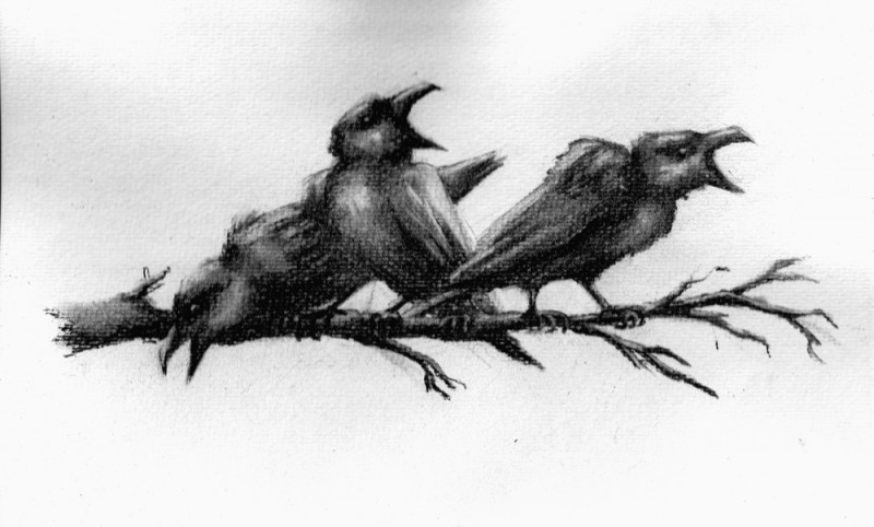 Three Ravens