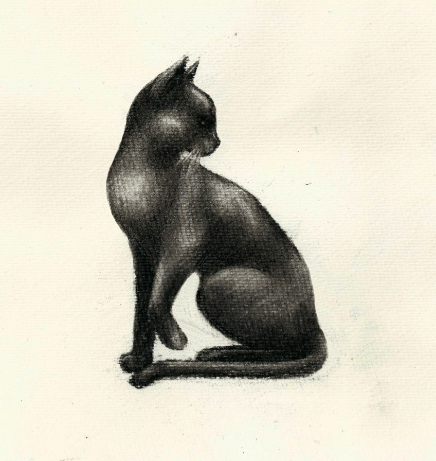 A black cat looks back